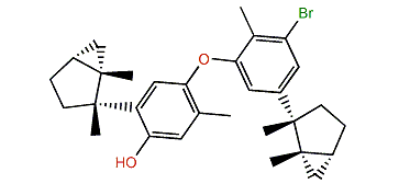 Nanji A